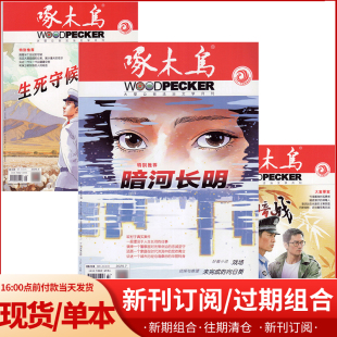12月打包清仓过期刊破案悬疑侦探推理破案小说文学文摘 20年全年1 全年订阅2024 2025年1 啄木鸟杂志 7月半年