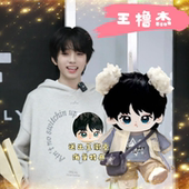王橹杰属性棉花娃娃明星公仔20CM换装 TF四代同人周边玩偶节日礼物