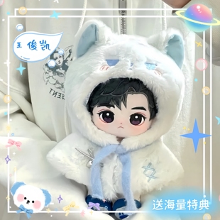 王俊凯属性棉花娃娃20cm周边同人玩偶可爱高颜值毛绒玩具生日礼物