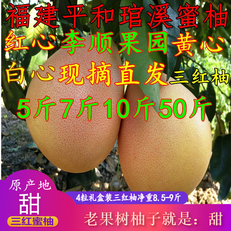 福建省平和三红柚子红心柚当季新鲜水果黄心白心蜜柚甜葡萄柚整箱