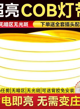 超亮cob灯带LED高压220V家用客厅自粘吊顶室外工程户外防水软灯条