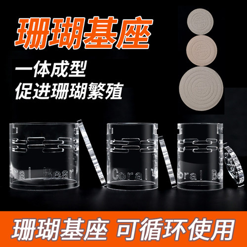 CoralBear珊瑚熊上石盒珊瑚基座