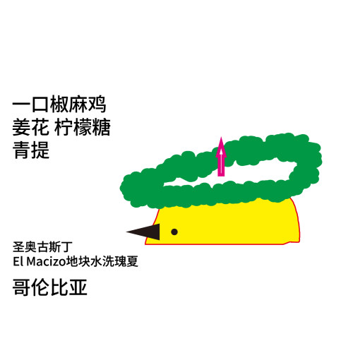 治光师哥伦比亚椒麻鸡瑰夏咖啡豆