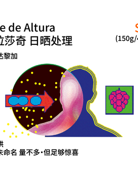 哥斯达黎加Cafe de Altura 薇拉莎奇 榛果奶油 日晒SOE意式咖啡豆