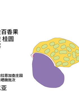 Back系列肯尼亚 黄金百香果Ngacha庄园SL28&34厌氧日晒手冲咖啡豆