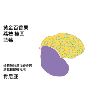 Back系列肯尼亚 黄金百香果Ngacha庄园SL28&34厌氧日晒手冲咖啡豆