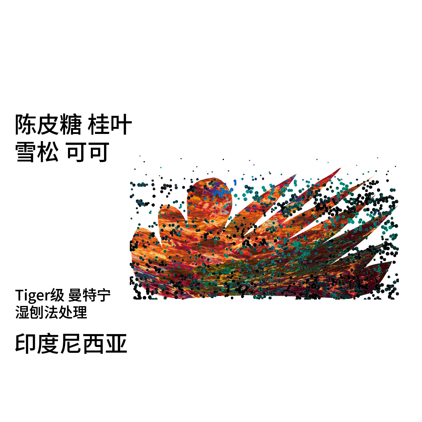 口粮系列 印度尼西亚Tiger级曼特宁湿刨处理 雪松|可可手冲咖啡豆 - 实物图