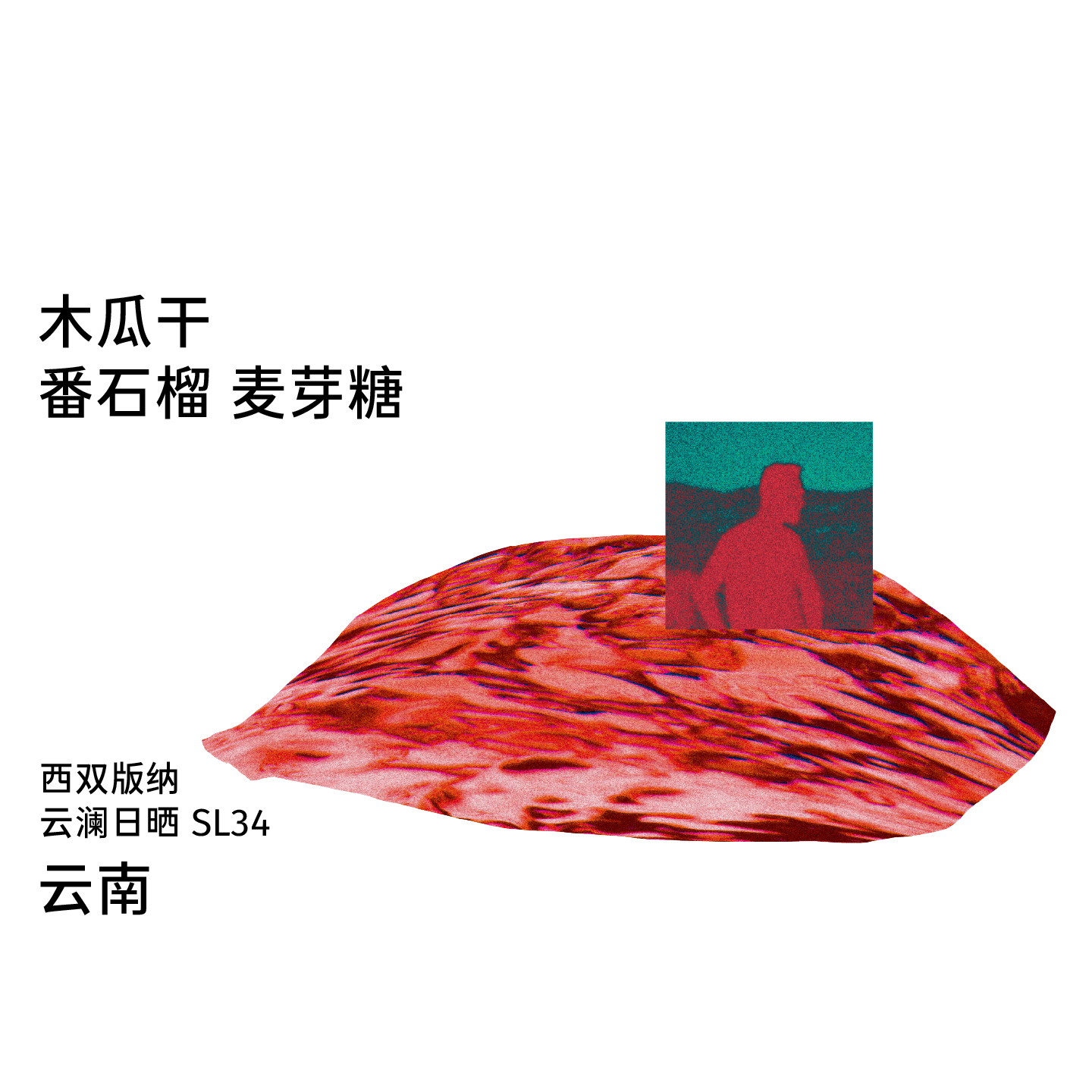 云南云澜庄园SL34日晒手冲咖啡豆