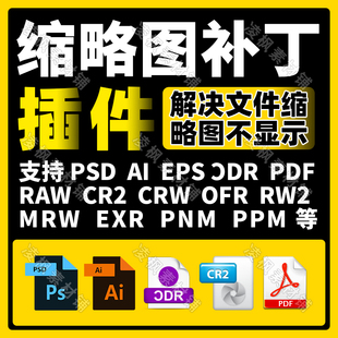 PSD缩略图预览补丁CDR AI PDF RAW EPSCR2插件格式文件win710系统