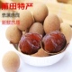 福建莆田特产新货桂圆干500g2袋 包邮 整箱14A特级新鲜小核大龙眼干