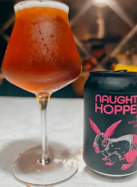 1罐装幻视疯眼船长双倍三倍浑浊IPA精酿啤酒新西兰原装进口330ml