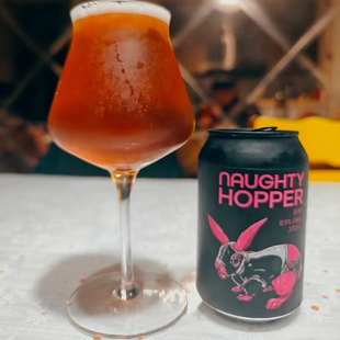 1罐装幻视疯眼船长双倍三倍浑浊IPA精酿啤酒新西兰原装进口330ml