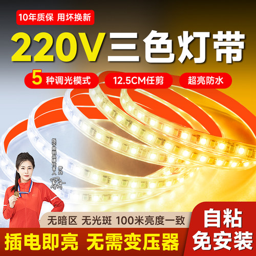 三色变光自粘220v灯带室内客厅天花板吊顶户外防水氛围led软灯条