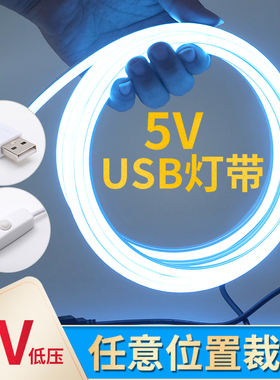 led可充电式灯带5v低压灯条电池款usb柔性霓虹硅胶软灯带条不插电