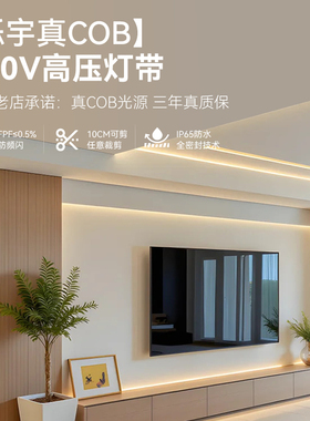 烁宇自粘COB家用220V客厅led灯带灯条户外防水线性灯吊顶软灯条