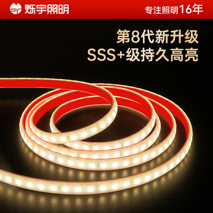 烁宇高亮护眼led低压灯带客厅吊顶氛围户外防水36v柔性线性软灯条