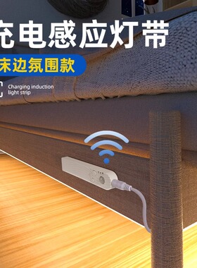 LED智能USB人体感应灯带5v充电霓虹卧室橱柜灯床底免插电起夜灯条