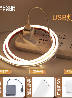 USB灯管软学生宿舍神器阅读护眼台灯书桌寝室床头氛围充电酷毙灯