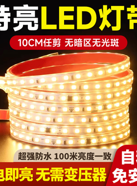 特亮led灯带高压220v自粘软柜子线形贴片免无变压器线型防水灯条