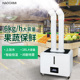 超声波蔬菜保鲜加湿器工业大雾量容量商用水果空气喷雾型车间超市