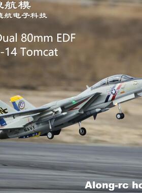 沧狼航模飞翼带收放F-14 双80mm涵道仿真模型遥控飞机喷气战斗机