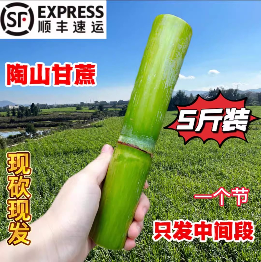 顺丰陶山甘蔗青皮绿皮甘蔗现砍现发新鲜孕妇水果当季整箱5斤果蔗