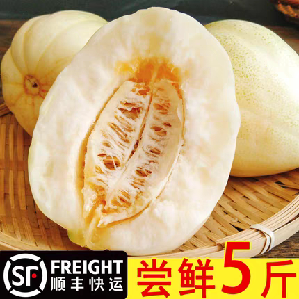 东北大地香瓜白糖罐京蜜甜瓜新鲜当季现摘孕妇水果老式香瓜脆甜蜜