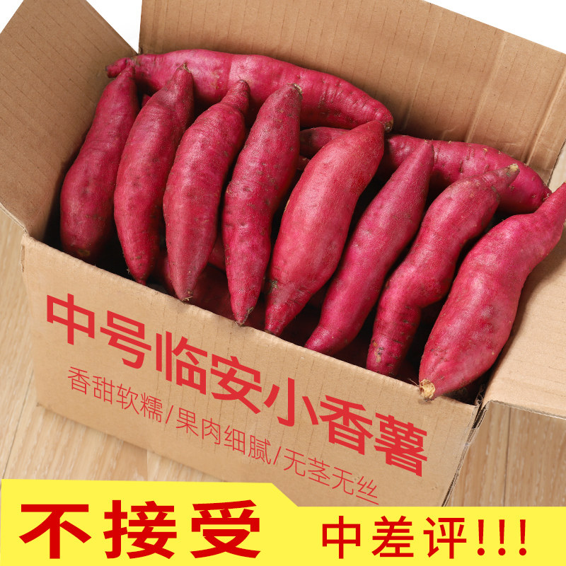 临安天目山小香薯粉糯拇指小红薯新鲜地瓜板栗山芋番薯10斤迷你