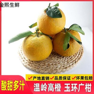 正宗温岭高橙玉环广柑现摘新鲜多汁整箱孕妇酸甜水果原产地特产10