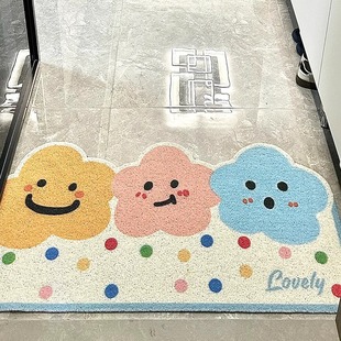 地毯 入户门丝圈地垫清新创意ins风进门玄关防滑脚垫刮泥蹭土换鞋