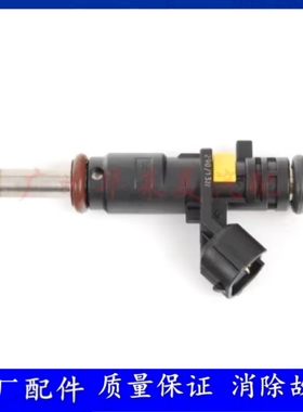 适用宝马1.6迷你R50R55R56标致3008RCZ DS5雪铁龙C4L308CC喷油嘴