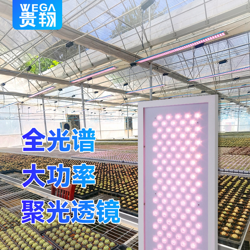贵翔植物补光灯全光谱植物生长灯