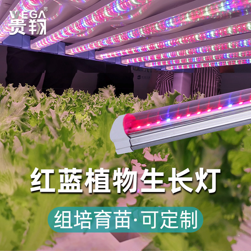 贵翔 红蓝光植物生长灯管LED光合作用补光灯蔬菜多肉育苗组培实验,家装灯饰光源,植物生长灯,淘宝优惠券,粉丝福利购,淘宝优惠卷