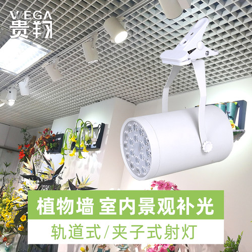 射灯植物补光灯贵翔全光谱