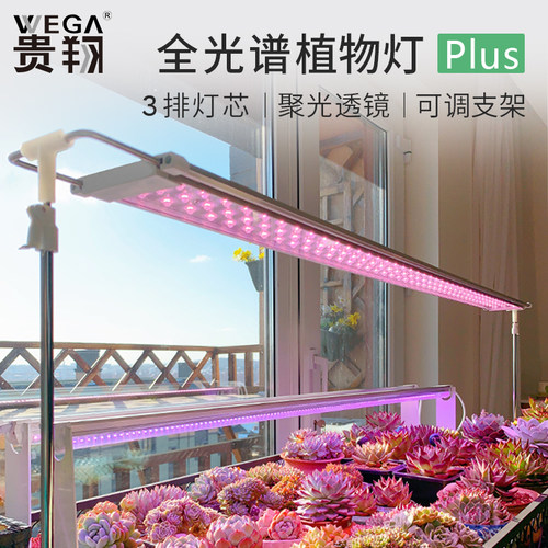 植物led价格 植物led图片 星期三