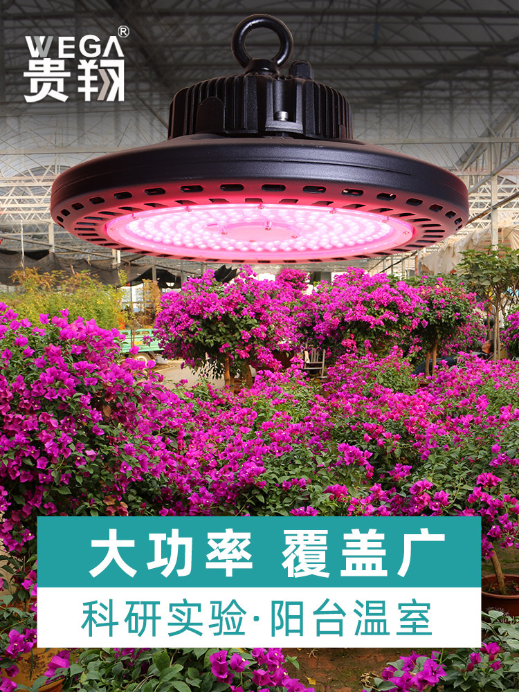 桂香全光谱植物生长灯多肉补光家用飞碟型Led室内彷花阳光