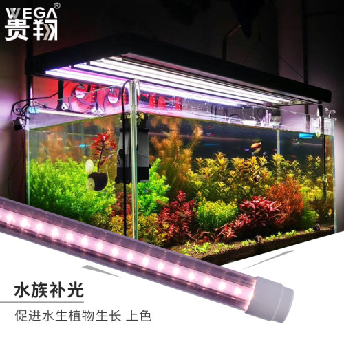 植物照明灯价格 植物照明灯图片 星期三