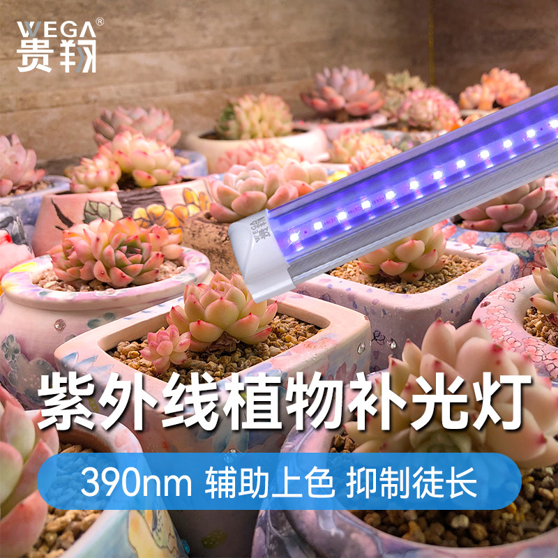 贵翔 多肉上色防徒长UVA紫外线灯仿太阳光合作用植物花卉补光灯