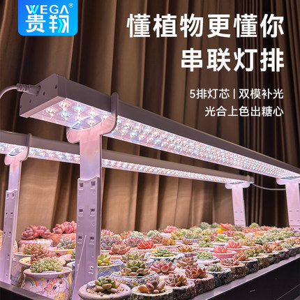 贵翔 多肉补光灯家用上色仿太阳全光谱LED植物生长灯室内绿植热植