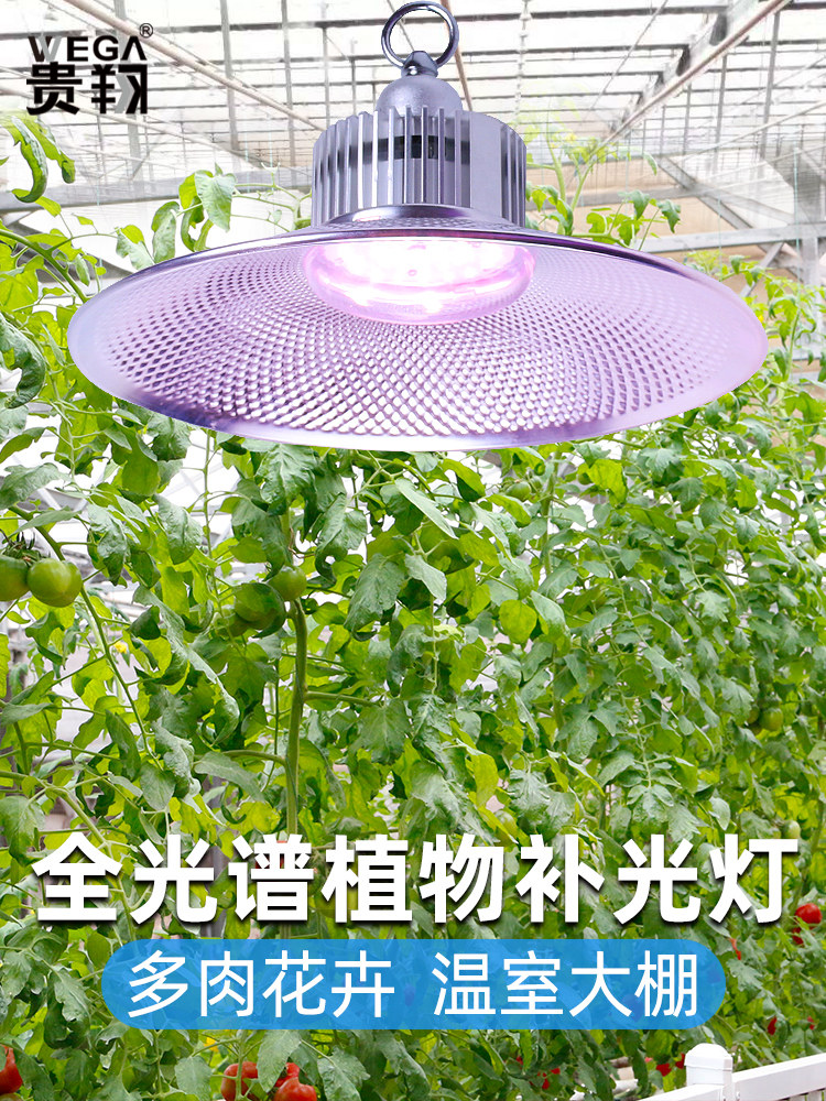 桂香全光谱彷日光灯日光蔬菜草莓花苗室内植物灯植物补光灯