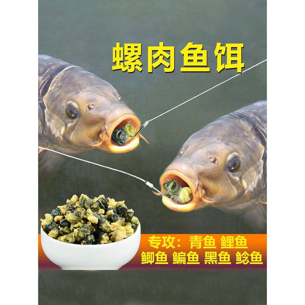 通杀螺肉鱼饵野钓青鱼鲤鱼鲫鱼鲶鱼饵料黑坑专用螺丝肉专攻钓鱼食