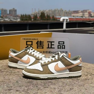 Retro Low Premium 男子运动复古休闲板鞋 200 Nike FQ8250 Dunk