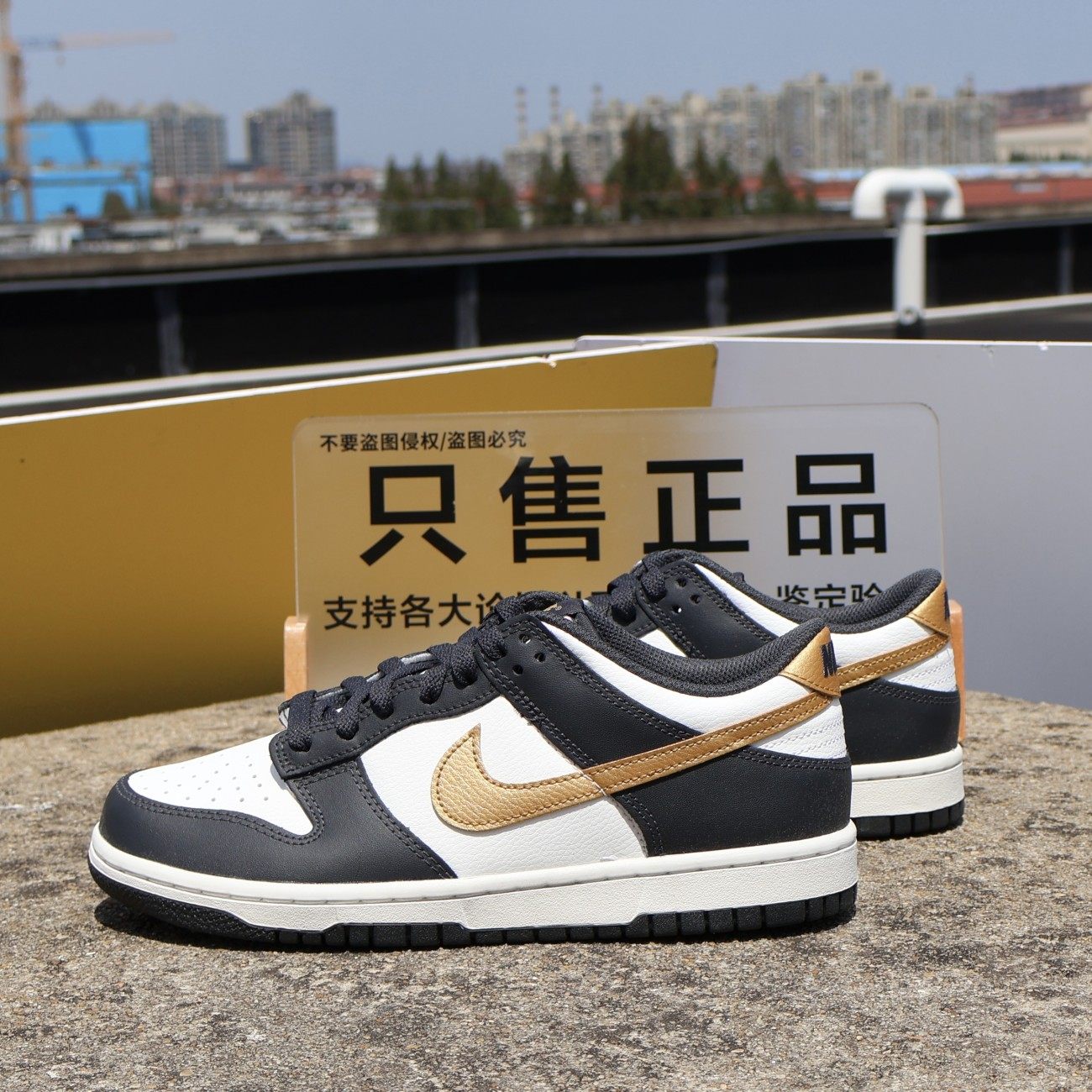 耐克 Nike Dunk Low GS男女大童运动复古拼接低帮板鞋HV2533-100