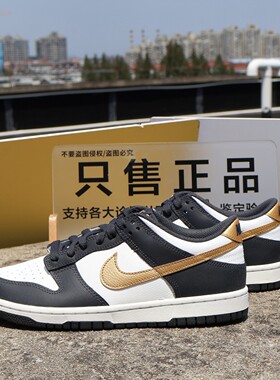 耐克 Nike Dunk Low GS男女大童运动复古拼接低帮板鞋HV2533-100