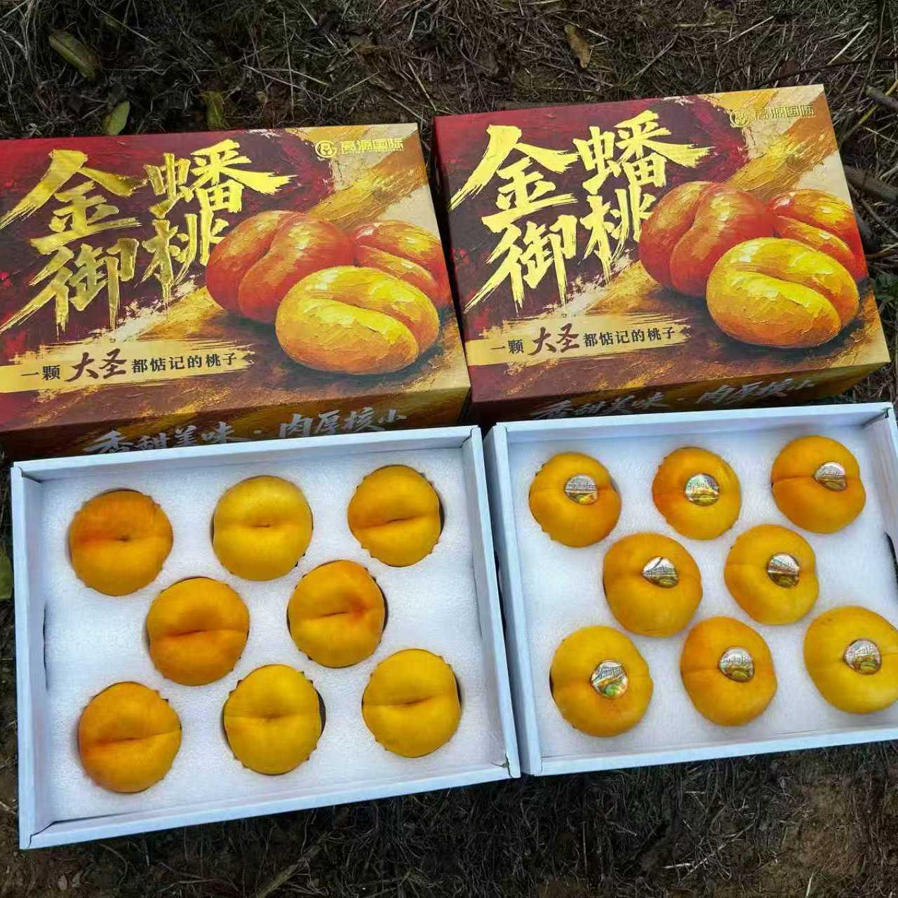 金蟠御桃黄金蟠桃礼盒 新鲜当季大果黄肉扁桃 香甜多汁