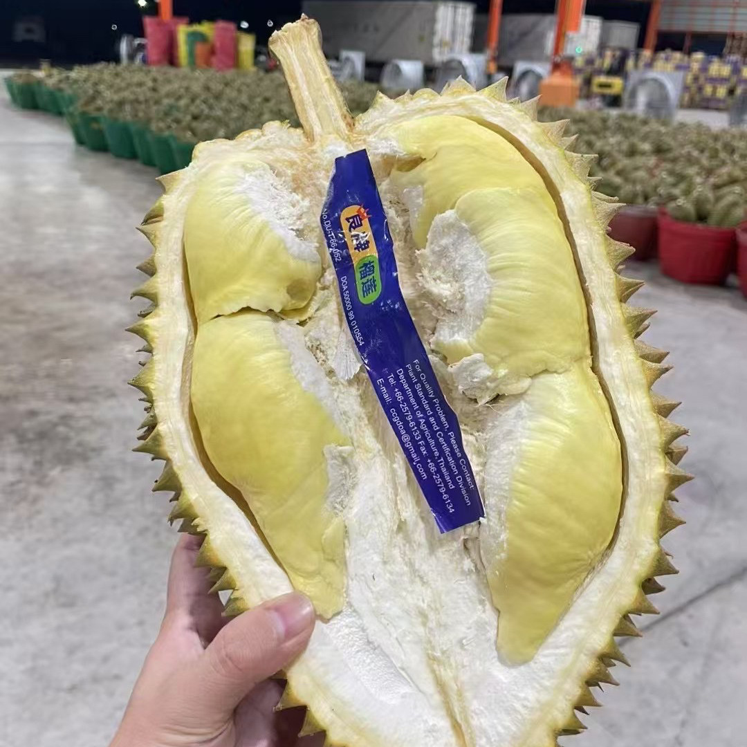 现季当季泰国榴莲金枕砖石良牌树上熟榴莲顺丰包邮