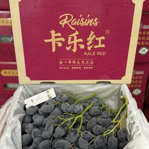 卡乐红精品黑提礼盒 新鲜葡萄果肉脆爽无涩味应季水果