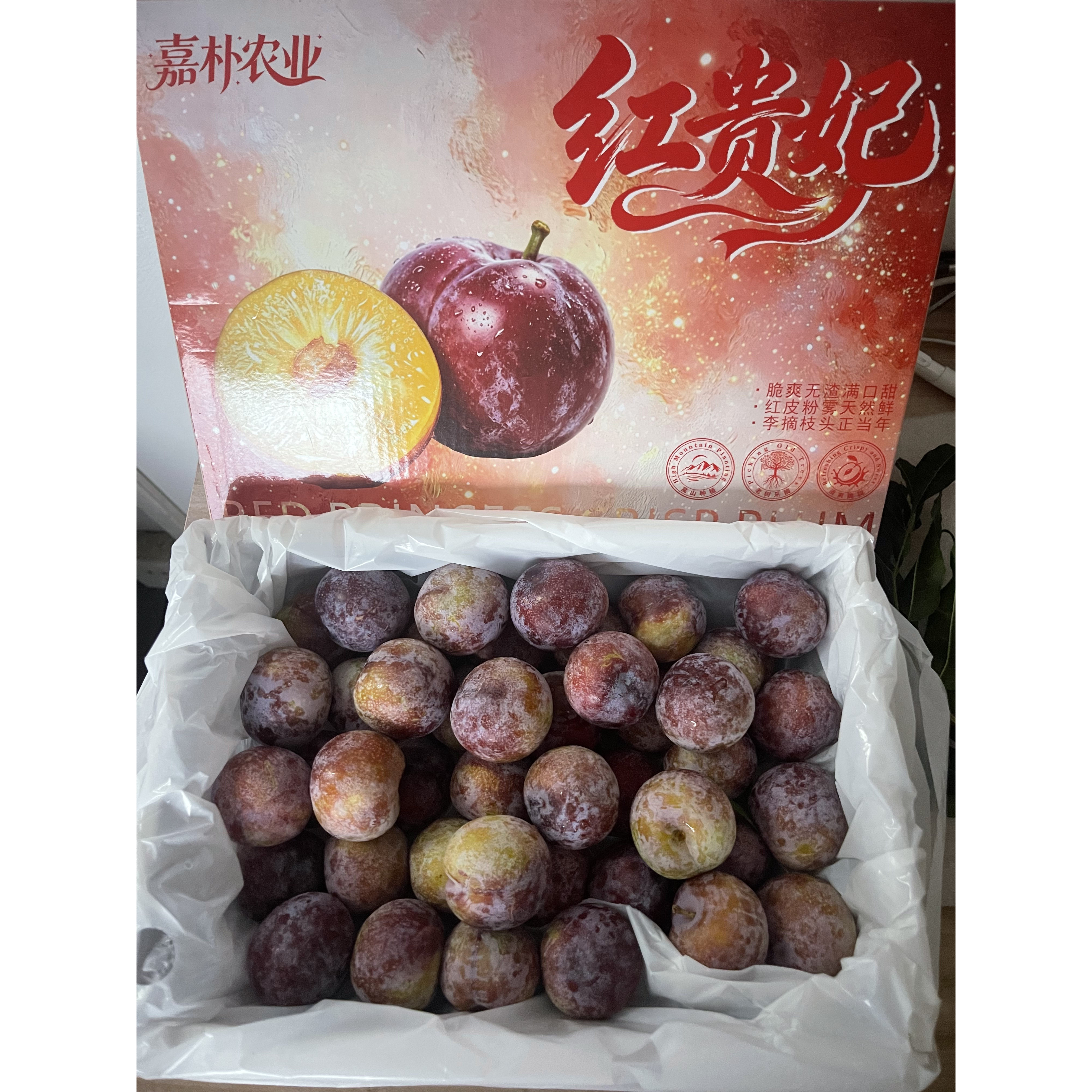 红贵妃脆李礼盒新鲜李子当季现摘黄肉脆甜大果应季水果节日送礼