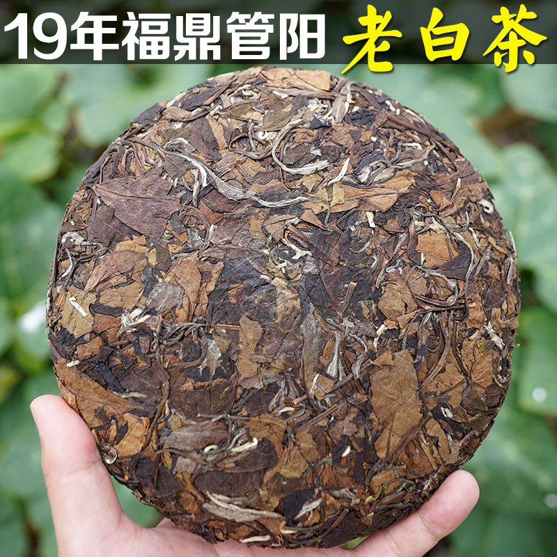 19年老白茶高山茶枣香