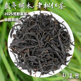 【武夷桐木·老枞红茶】2025百年小赤甘，岭头山场荒野菜茶125g